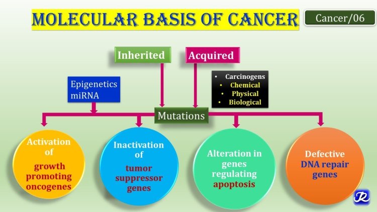 Cancer Managenomics